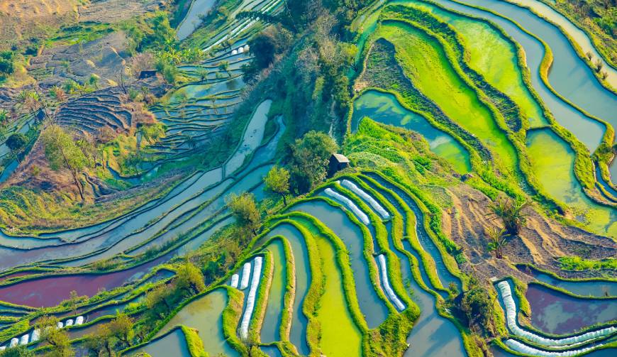 宝妈必备神器：资阳产品视频拍摄轻松育儿好帮手